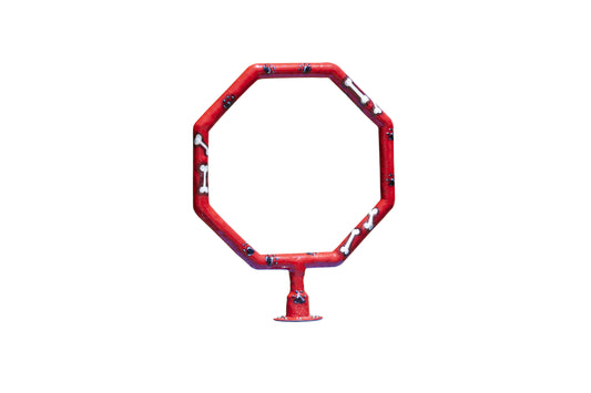 Dog Jump Hoop Water Play Feature