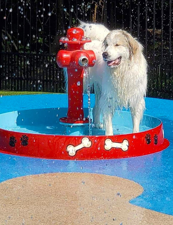 White dog standing in a red dog bowl with a fire hydrant water feature at a dog water park