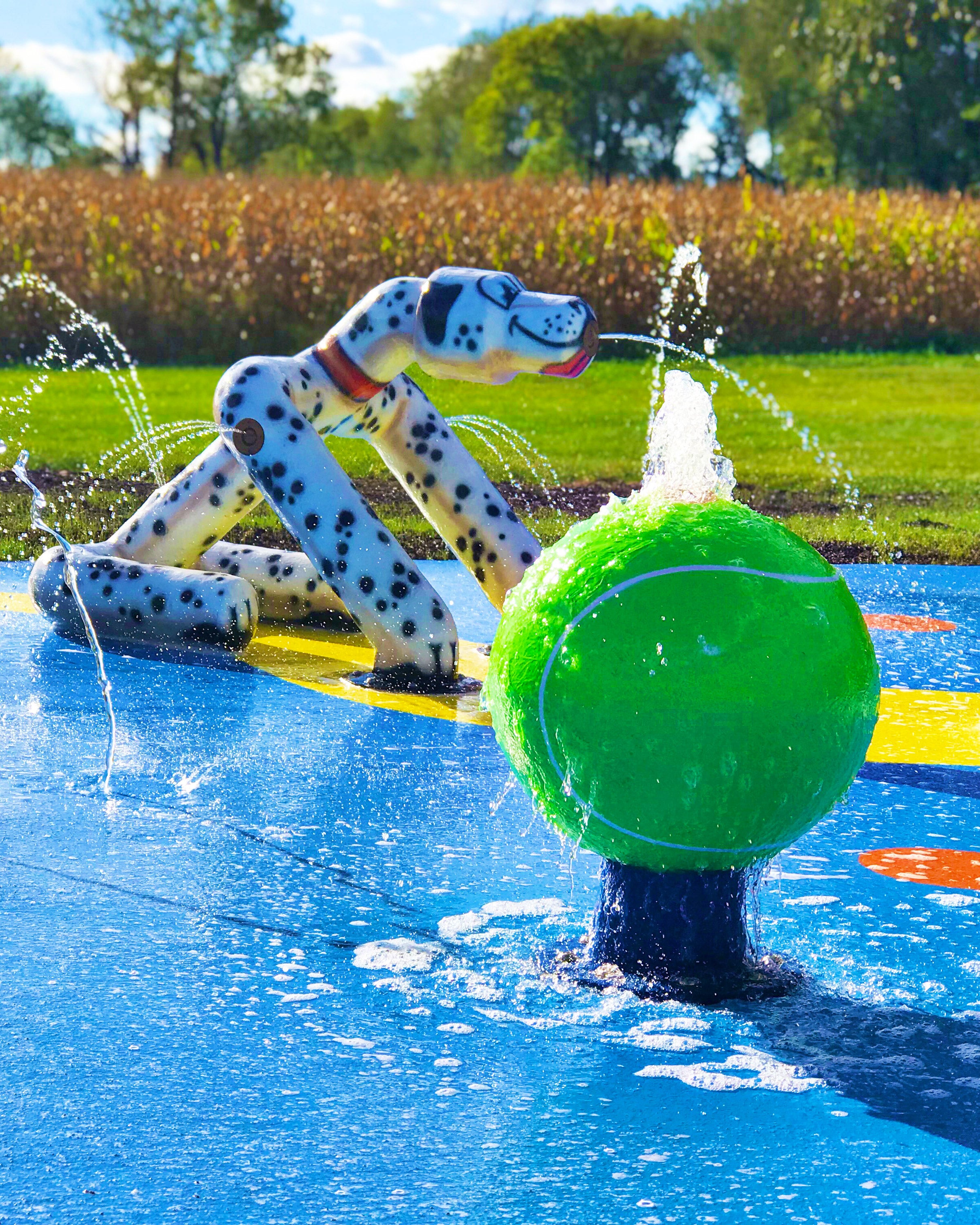 Dog friendly 2024 splash pad