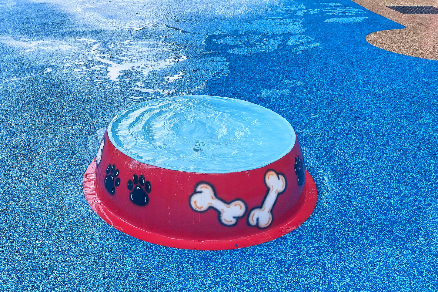 dog-bowl-water-bowl-water-play-feature-made-in-the-usa-by-my-splash-pad-dog-water-park