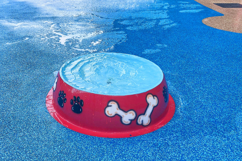 Red dog bowl water play feature filled with water at a dog water park