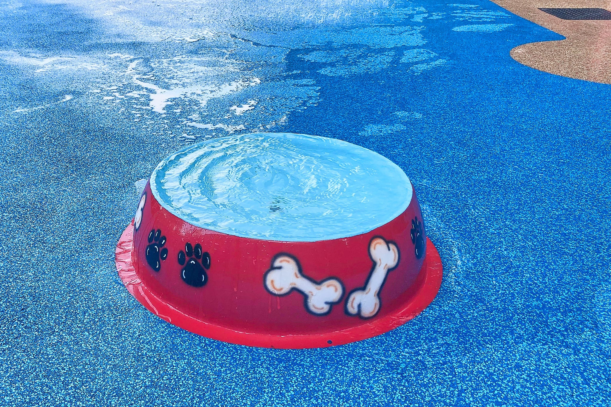 Red dog bowl water play feature filled with water at a dog water park