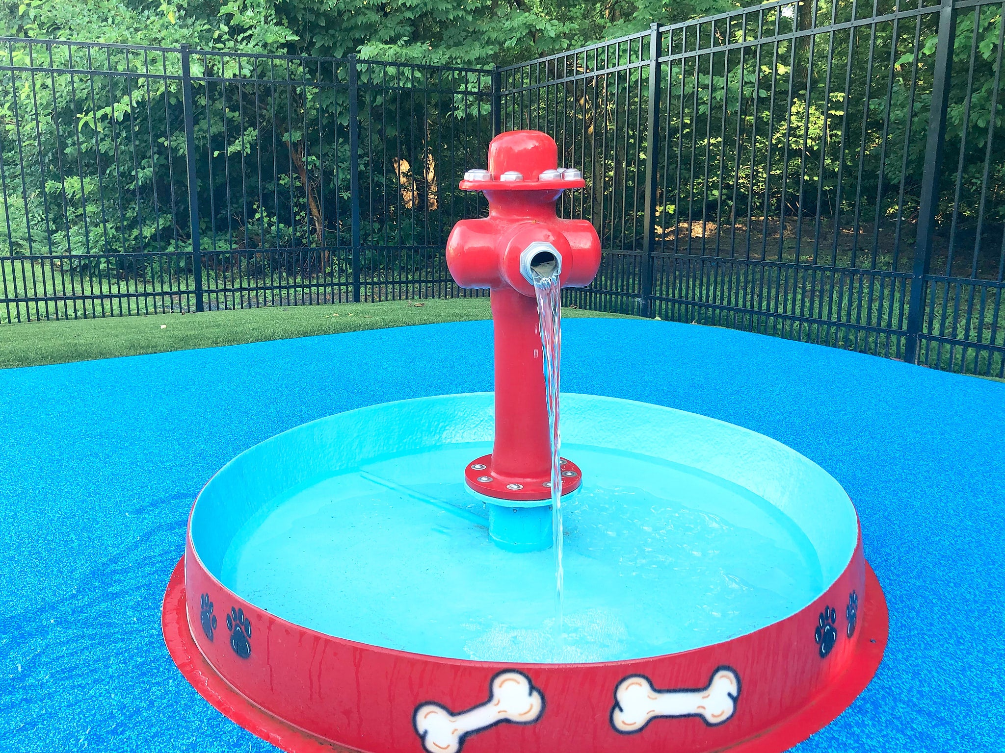 Red dog bowl with fire hydrant water feature filling a shallow basin at a dog water park