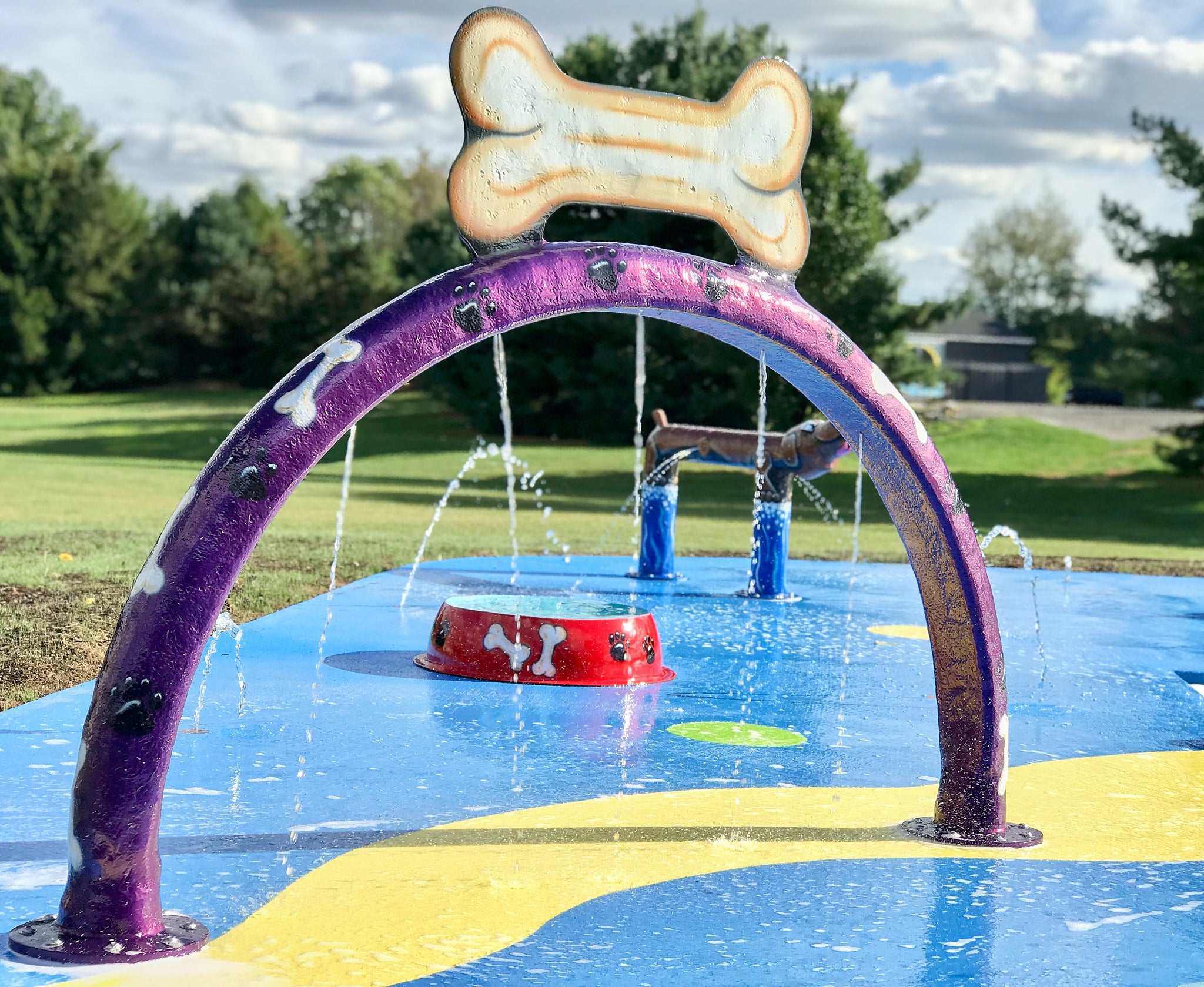 Purple doggy wash hoop spraying water over a dog water park with additional play features